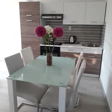Apartment Ksenija *